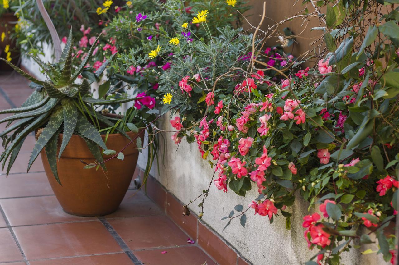 Bed and Breakfast Abode Buenos Aires Exterior foto